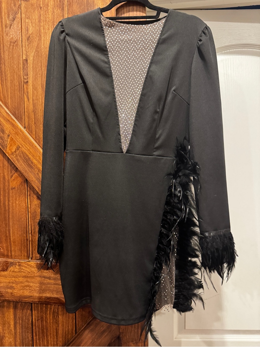Black Feather-Trim Deep V Mini Dress